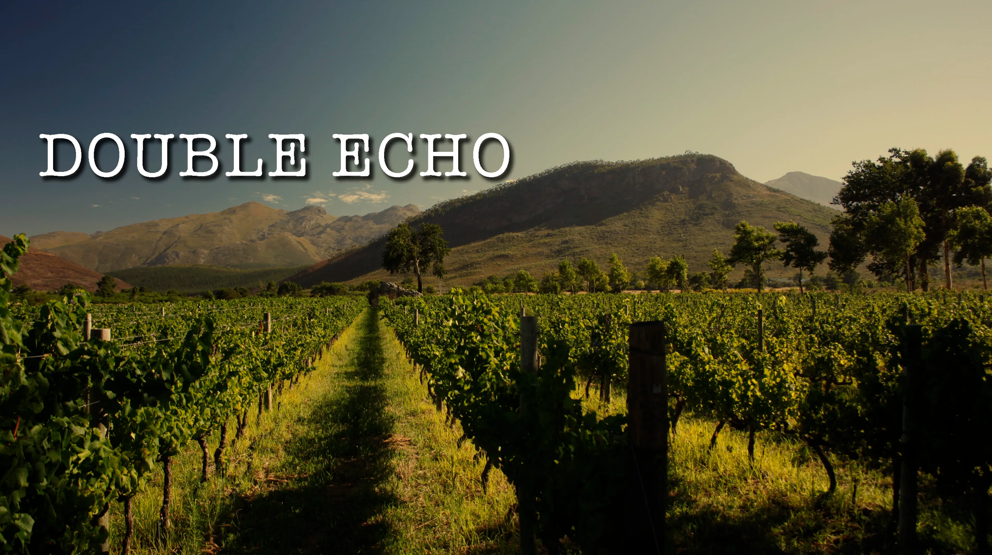 Double Echo poster